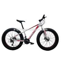 Good quality Aluminum 6061 fatbikes/fat bike mtb 26